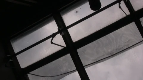 SkyLight | Back lit Birds Stock Footage 86835045