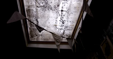 Skylight in the city old building Stock-Footage 127126264