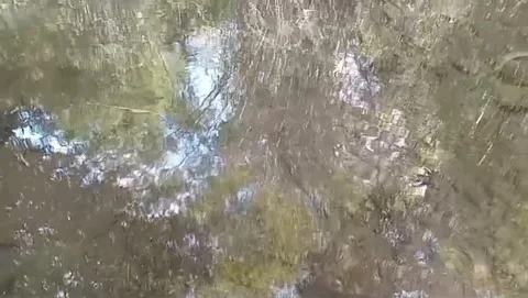 The skylight danced on the clear water. Stock Footage 336903593
