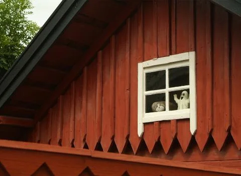 Skylight Stock Photos