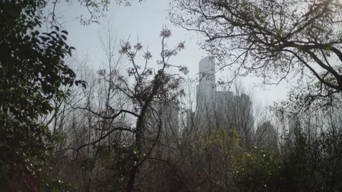 Skyline and Nature Stock Footage 314678904