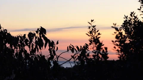 The skyline of Barcelona,Spain Stock Footage 118982796