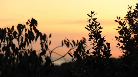 The skyline of Barcelona,Spain Stock Footage 118982868