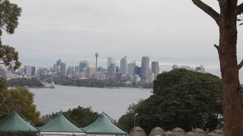 Skyline of downtown Sydney Stock Footage 106593149