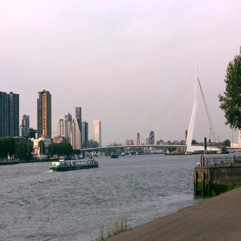 Skyline Erasmus Bridge Rotterdam Stock Footage 69501399