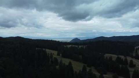 Skyline of forest in a mountain scene from drone Stock Footage 297253536