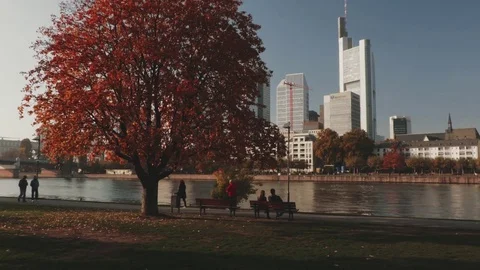 The Skyline of Frankfurt Stock Footage 74456908