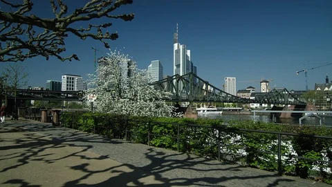 The Skyline of Frankfurt Stock Footage 74600018
