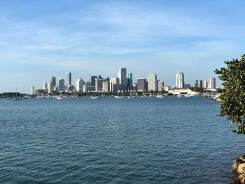 Skyline Miami Stock Photos