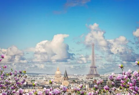 Skyline of Paris with eiffel tower 写真素材