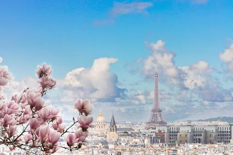 Skyline of Paris with eiffel tower Stock Photos