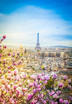 Skyline of Paris with eiffel tower Stock Photos
