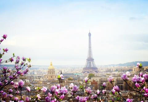 Skyline of Paris with eiffel tower Foto stock