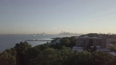 Skyline Reveal Over Trees 스톡 동영상 77513824