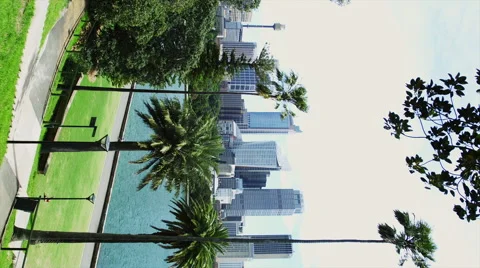 Skyline of Sydney CBD Video stock 51851401