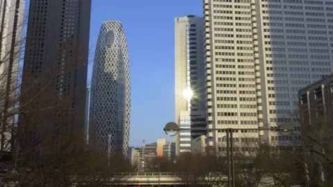Skyline In Tokyo, Japan Stock Footage 159000502