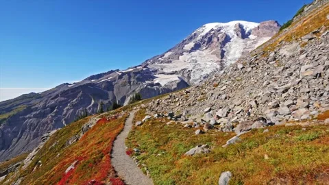 Skyline Trail Hiking Path to Panorama Point with Autumn Colors and Mount Rainier 動画素材 332139958