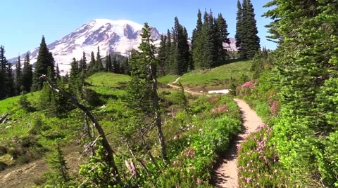 Skyline Trail - Mount Rainier Vídeo Stock 41022886