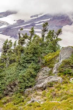 Skyline trail mountain side view with fog and clouds Stock Photos
