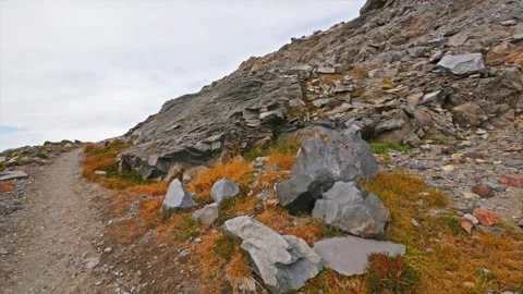 Skyline Trail to Panorama Point in Mount Rainier National Park, Washington State Stock Footage 332139765