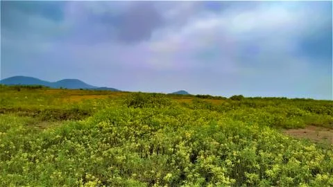A skyline view with cloud Stock Photos