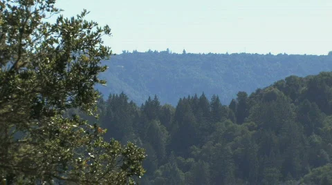 Skyline Zoom Out Video stock 612378