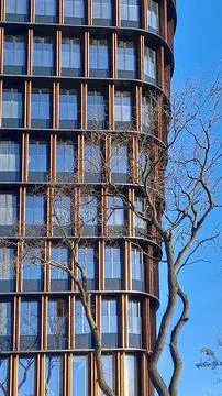 Skyscraper and bare tree in blue colors. Business, urban view. Close-up Stock Photos
