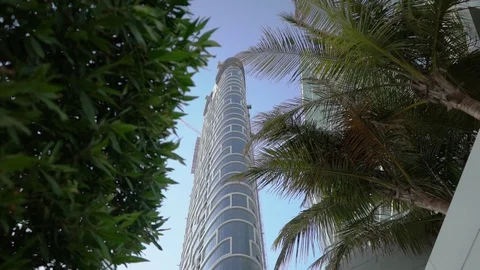 Skyscraper and palm trees Vídeo Stock 129381136