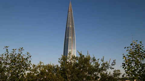 Skyscraper And Tree Vídeo Stock 113461291