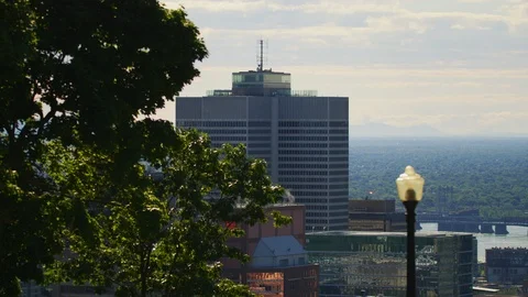 Skyscraper behind tree branches in Montreal Stock Footage 99920002