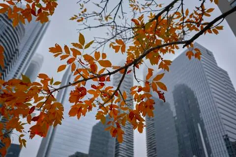 Skyscraper from below Stock Photos