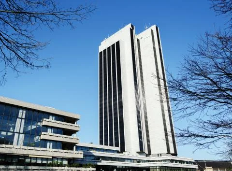 Skyscraper between trees. Stock Photos
