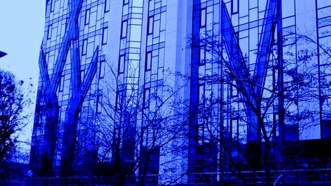 Skyscraper In Blue Evening Light And The Trees In The Wind Stock Footage 104805255