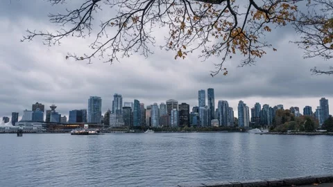 Skyscraper building in downtown with maple tree on coastline in Stanley par.. Stock-Footage 256099061