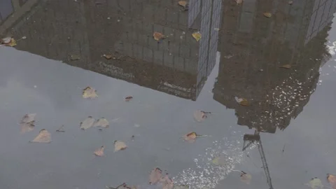 Skyscraper construction site reflected in a pool Stock-Footage 147348344
