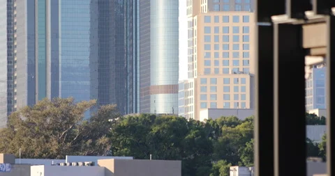 Skyscraper Facades In LA Sunlight Vídeo Stock 225515110