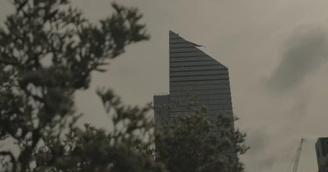 Skyscraper with flowers growing in foreground Stock Footage 76108207