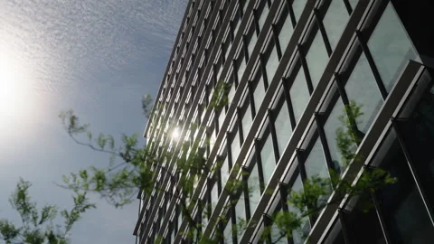 Skyscraper Vidéo 308433556