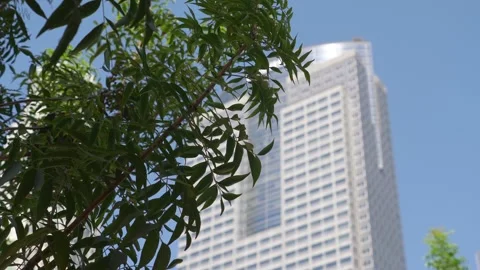 Skyscraper with greenery in the foreground and a clear blue sky in 4k slow .. Stock Footage 282891825