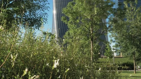 Skyscraper hidden by vegetation Stock Footage 133674571