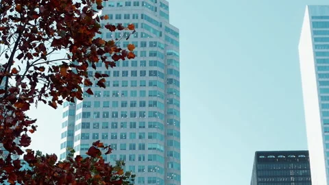 Skyscraper office close-up. Stunning view of Toronto skyscrapers illuminated by  Video stock 298266565