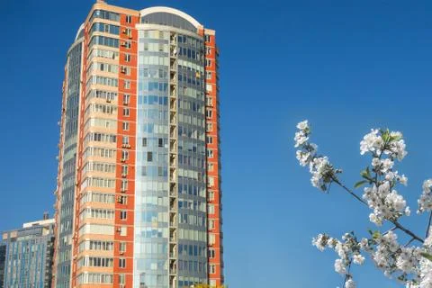 Skyscraper or flat block building on clear blue sky background. Blossom tree  Photos