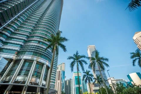 Skyscraper with palm trees Stock Photos