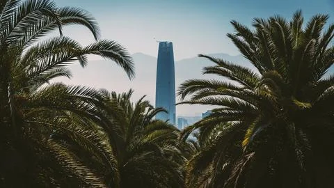 A skyscraper rises up between palm trees and buildings in Santiago de Chile. Stock Photos