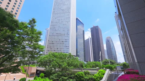 Skyscraper stand beyond fresh green trees at Nishi-Shinjuku in Tokyo Stock Footage 291733390