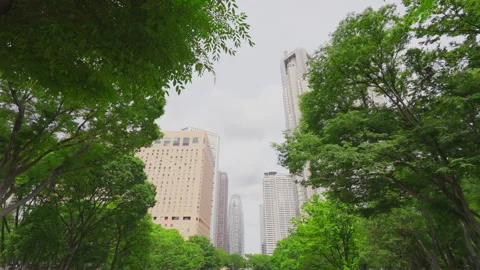 Skyscraper stand beyond fresh greens at Nishi-Shinjuku in Tokyo Japan Stock-Footage 292835347