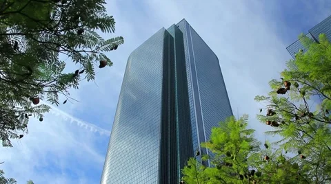 SKYSCRAPER THROUGH TREES Stock Footage 913413