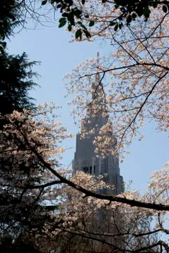 Skyscraper in tokyo in spring Stock Photos