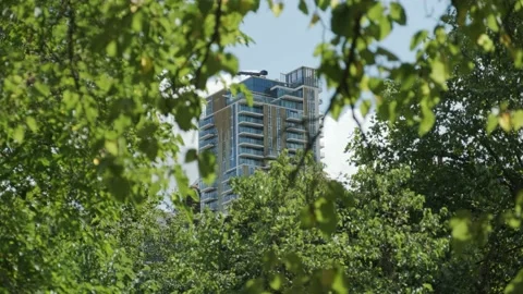 Skyscraper In The Trees Stock Footage 136733058