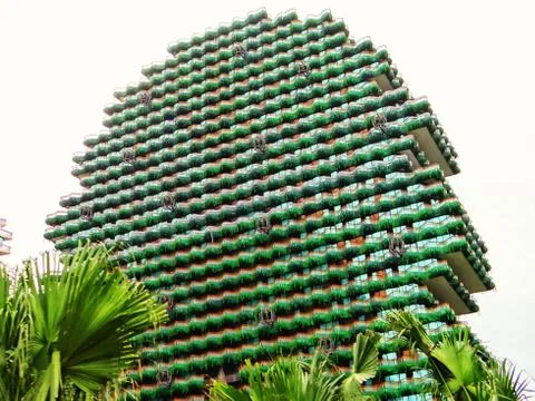 Skyscraper Trees Stock Photos